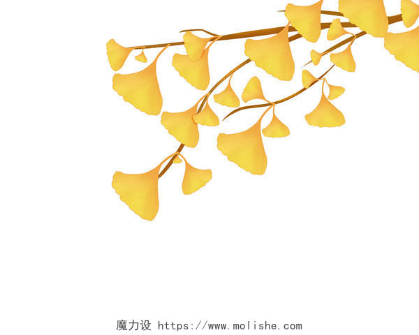 黄色手绘卡通银杏叶树叶树枝秋天秋季元素PNG素材